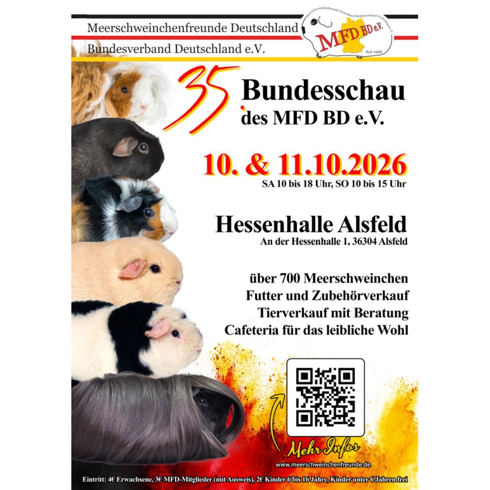 Flyer 35. Bundesschau des MFD BD e.V. mit Meerschweinchen, 10. und 11.10.2026 Hessenhalle Alsfeld