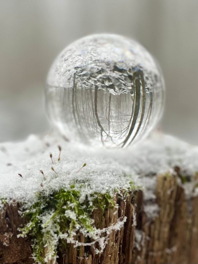 Glaskugel auf einem bemoosten, verschneiten Holzpfosten, darin spiegelt sich der Winterwald kopfüber