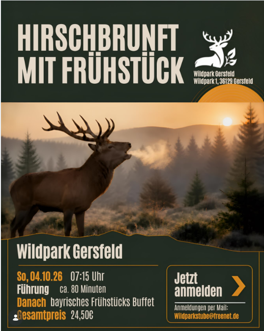 Plakat: Hirschbrunft mit Frühstück im Wildpark Gersfeld, 4. Oktober 2026, 7:15 Uhr