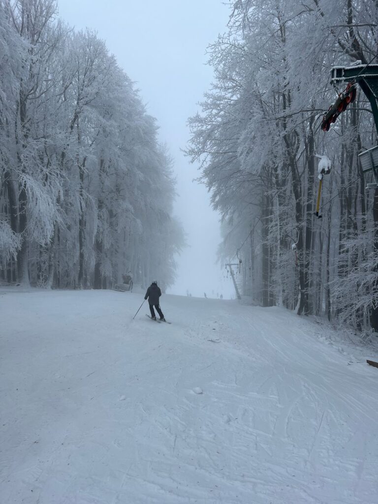 Skipiste an der Wasserkuppe zwischen verschneiten Buchen, rechts der Schlepplift, in der Mitte ein Skifahrer im Nebel