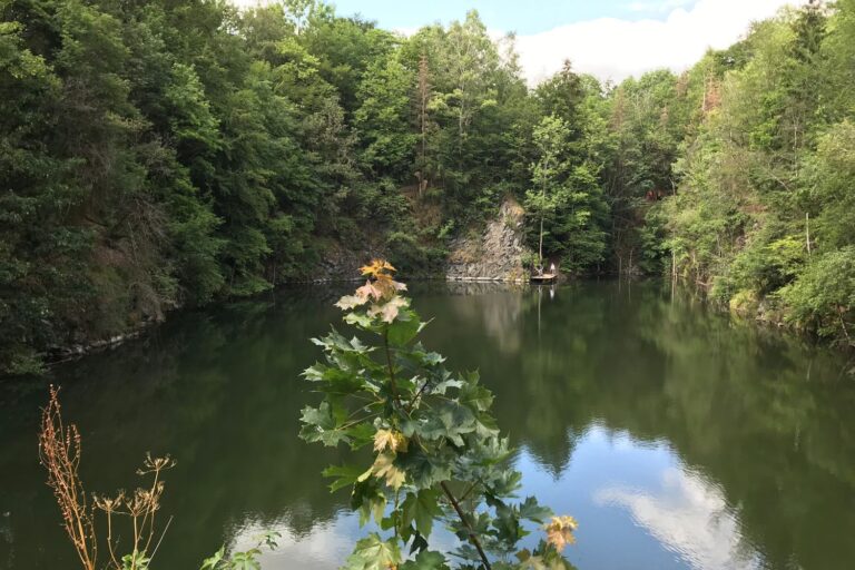 Basaltsee Ulmenstein im Sommer, umgeben von dichtem Laubwald, im Wasser spiegeln sich die Wolken