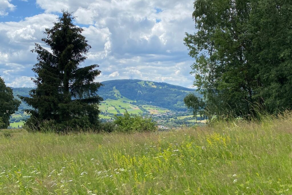 Sommerwiese am Bauersberg mit Blick über die Rhön