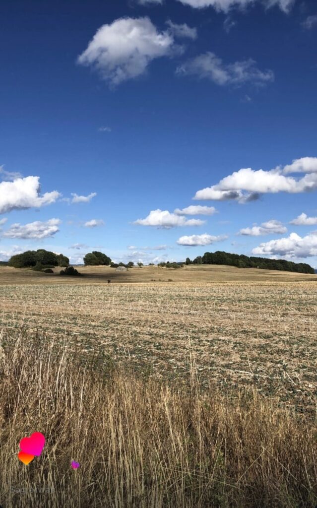 Stoppelfeld unter blauem Himmel mit Wolken