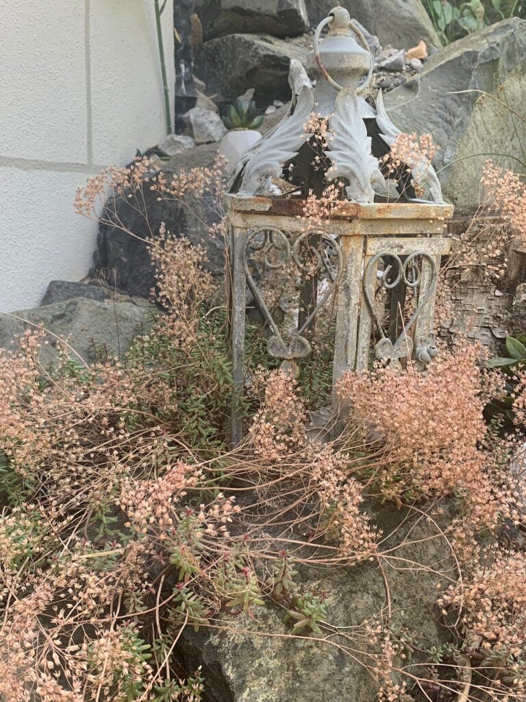 Dekoration mit Vogelhäuschen und Trockenblumen an der Terrasse der BUDE.29
