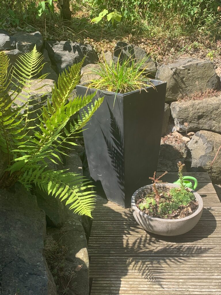 Farn und Pflanzkübel an der Natursteinmauer der Terrasse der BUDE.29