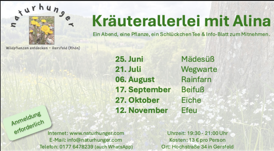 Flyer Kräuterallerlei mit Alina von naturhunger mit den Terminen Juni bis November 2026 vor einer Blumenwiese