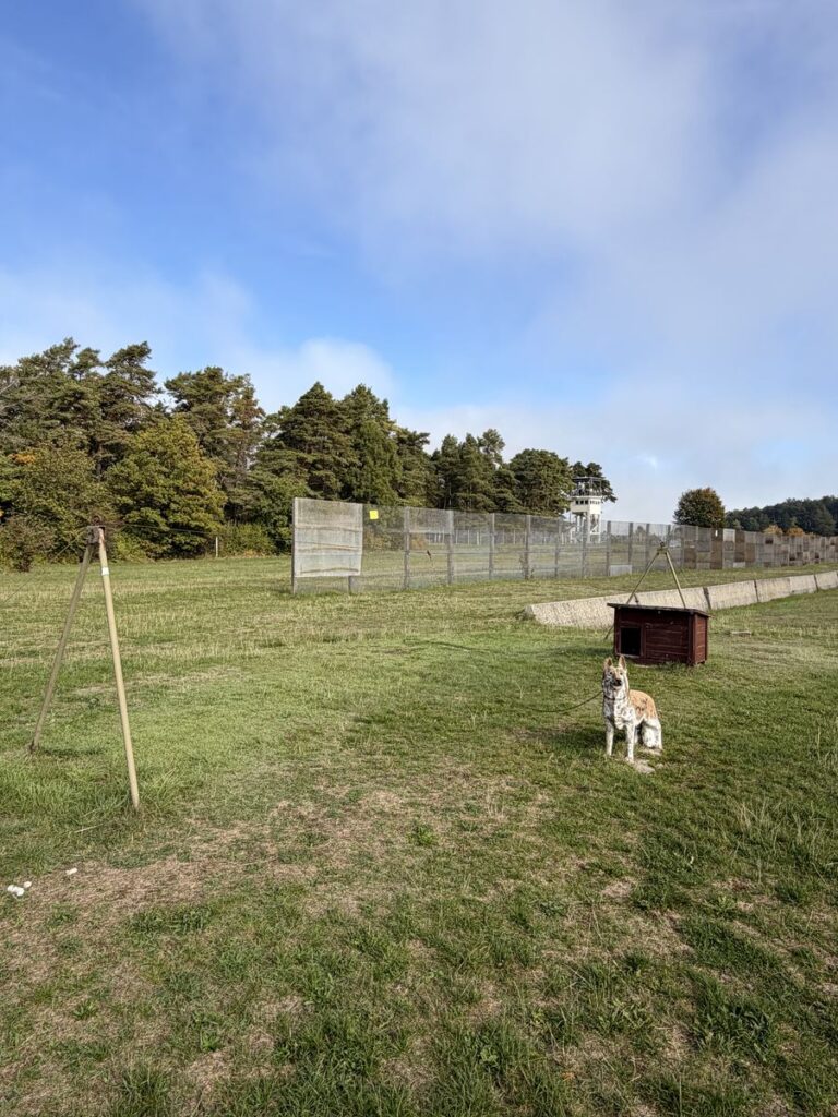 Hundelaufanlage mit Hundefigur und Hütte vor dem Grenzzaun am Point Alpha