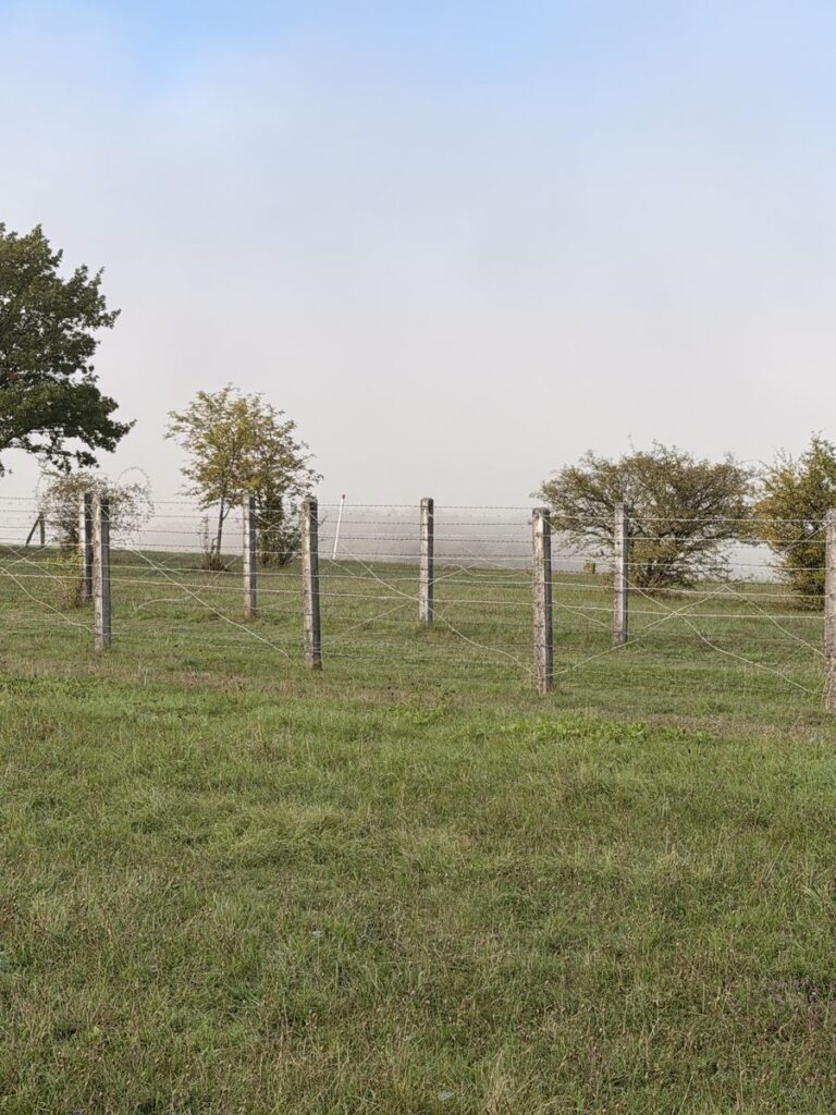 Rekonstruierter Stacheldrahtzaun an Holzpfählen aus der Frühzeit der innerdeutschen Grenze