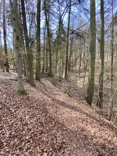 Schmaler Pfad am Hang durch lichten Buchenwald an der Extratour Point-Alpha-Weg