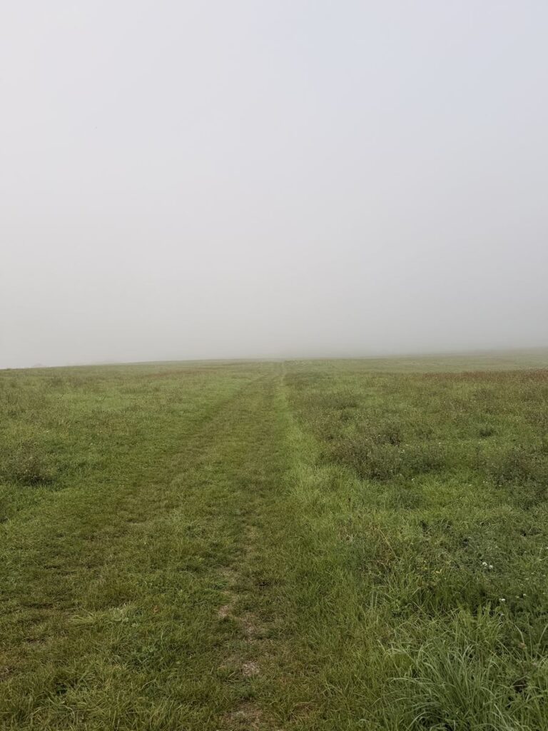 Wiesenweg oberhalb von Geisa im dichten Nebel