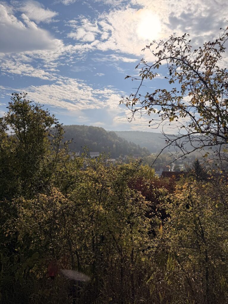 Blick zwischen Büschen hinunter ins Tal bei Ramsthal mit bewaldeten Hängen