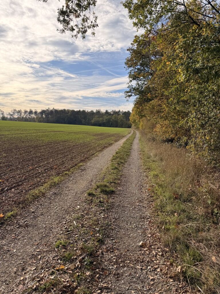 Feldweg am Waldrand unter Schäfchenwolken auf dem Rückweg nach Ramsthal