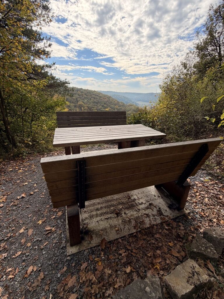 Holzbank mit Tisch am Waldrand mit Blick über die Hügel