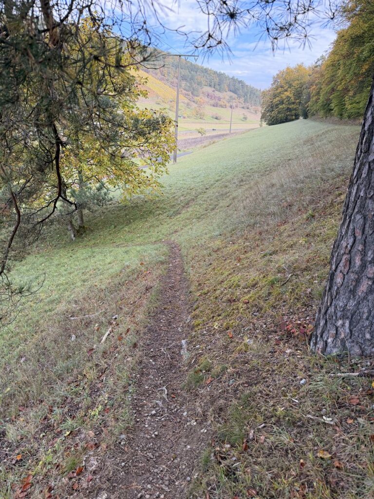 Schmaler Trampelpfad über einen steilen Wiesenhang am Waldrand