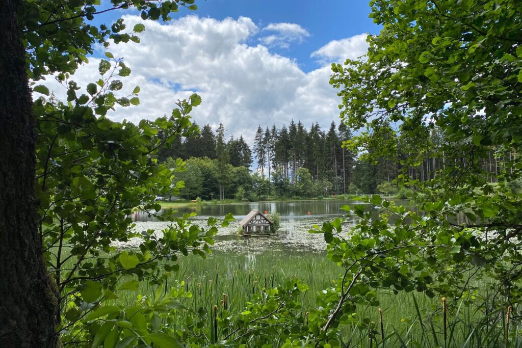 Blick durch Bäume auf den Rothsee bei Bischofsheim mit Wolkenhimmel