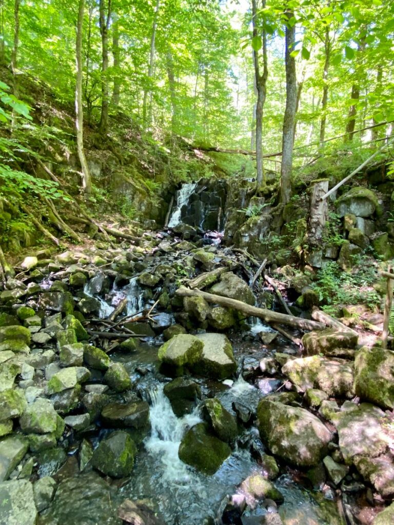 Wasserfall Teufelsmühle mit moosbewachsenen Steinen im grünen Wald