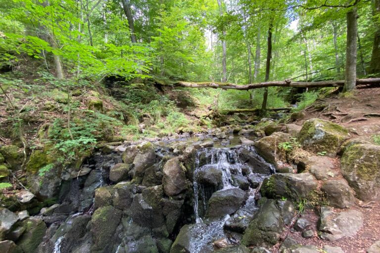 Der kleine Wasserfall Teufelsmühle am Schwarzbach bei Bischofsheim in der Rhön, umgeben von Buchenwald