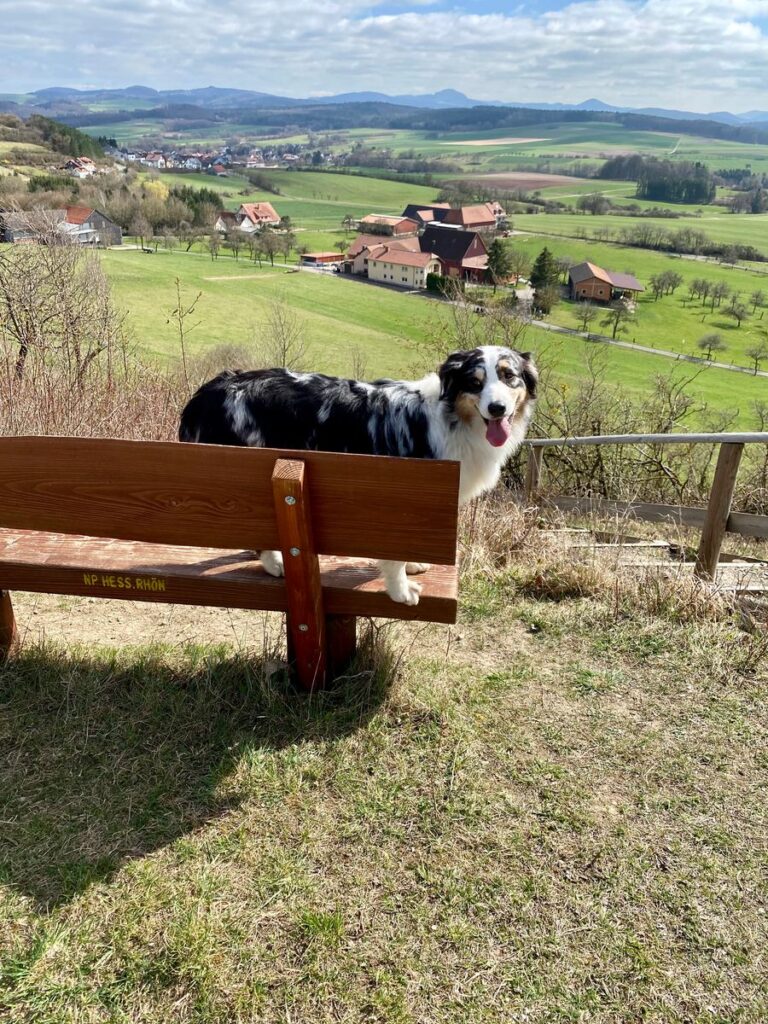 Hund auf einer Rastbank mit Blick über ein Dorf und die Kuppen der Rhön