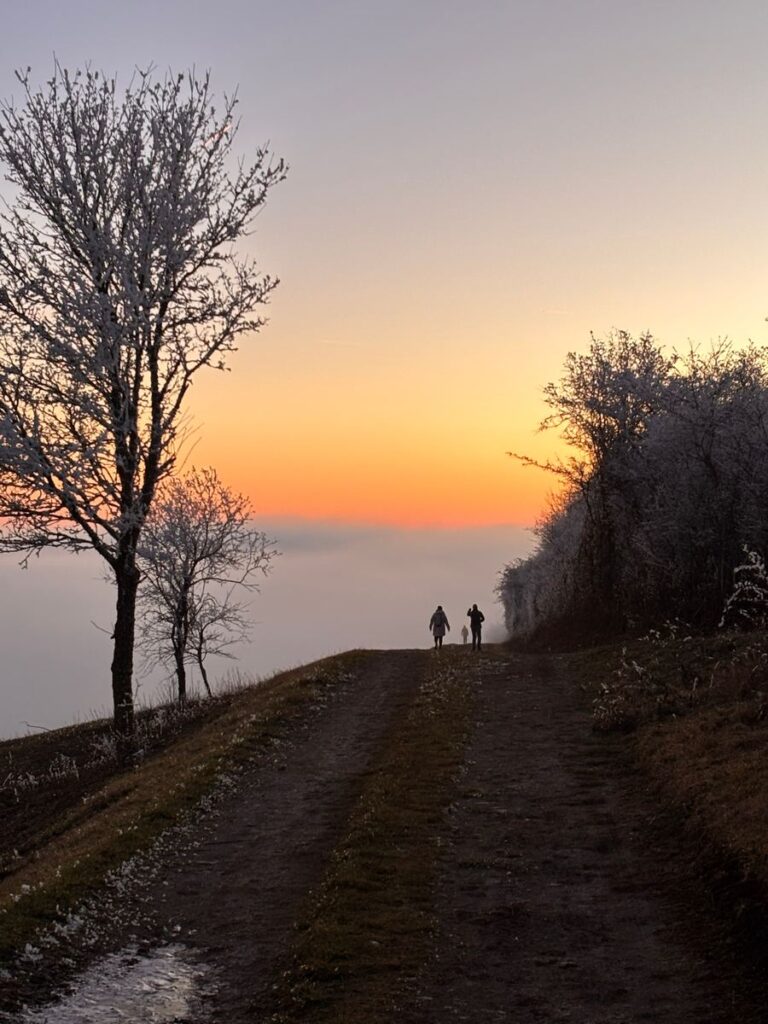 Wanderer auf einem Wiesenweg vor Abendrot und Nebelmeer, links ein Baum mit Raureif