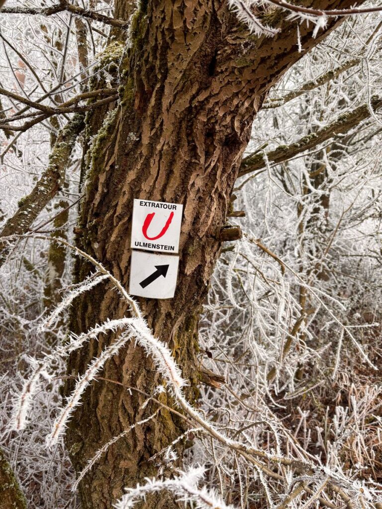 Wegzeichen der Extratour Ulmenstein, ein rotes U, mit Richtungspfeil an einem Baum voller Raureif