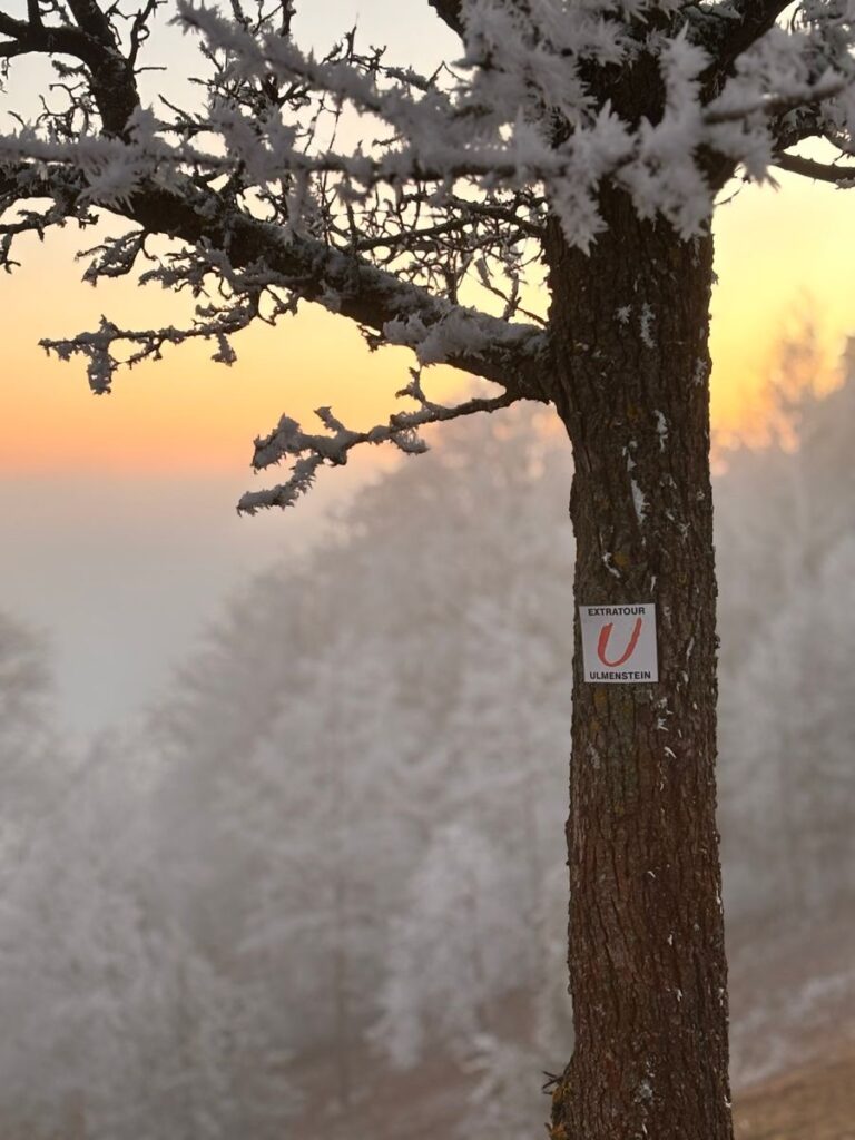 Wegzeichen der Extratour Ulmenstein an einem raureifbedeckten Baum im Abendrot