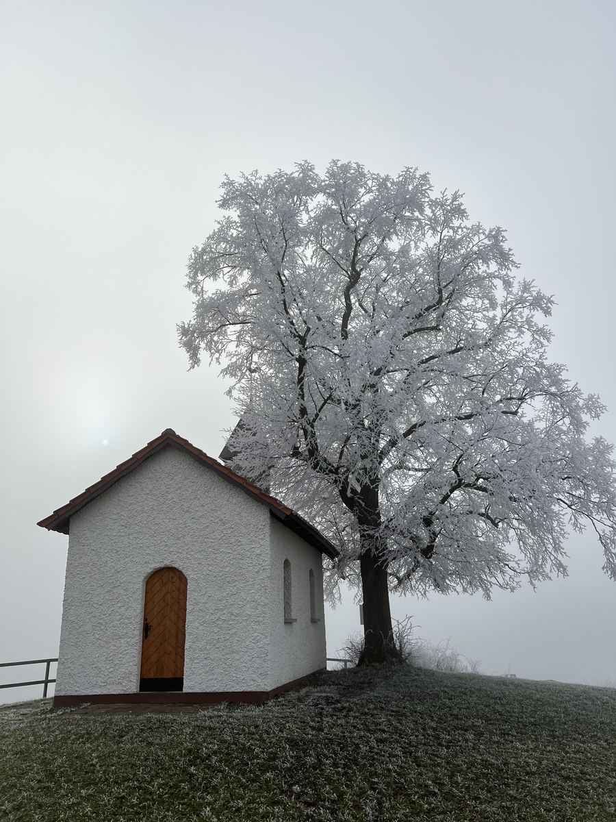 Kleine weiße Kapelle neben einem Baum voller Raureif bei Hofaschenbach an der Extratour Ulmenstein.