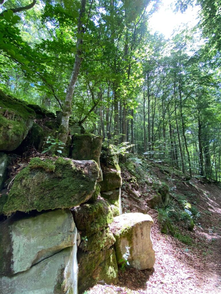 Schmaler Waldpfad entlang bemooster Felsen im Schwarzbachtal